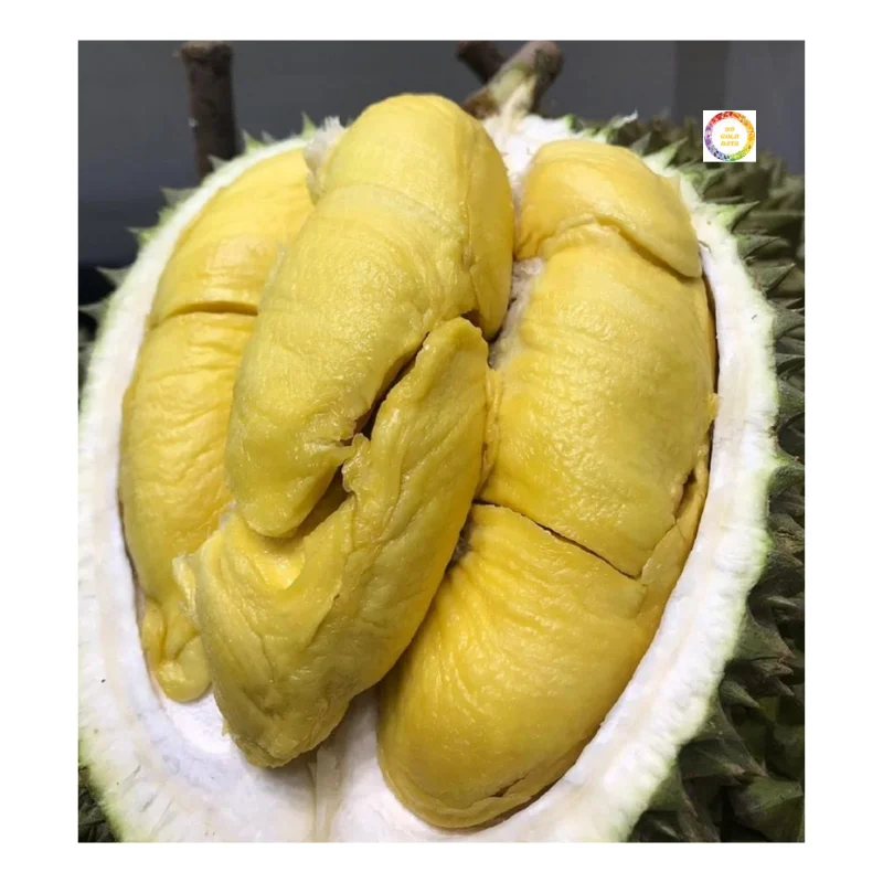 Hot Sale IQF Frozen Fruits - Frozen Durian Flesh From Vietnam