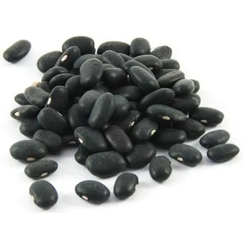 High quality Wholesale small red kidney beans price Natural Beans