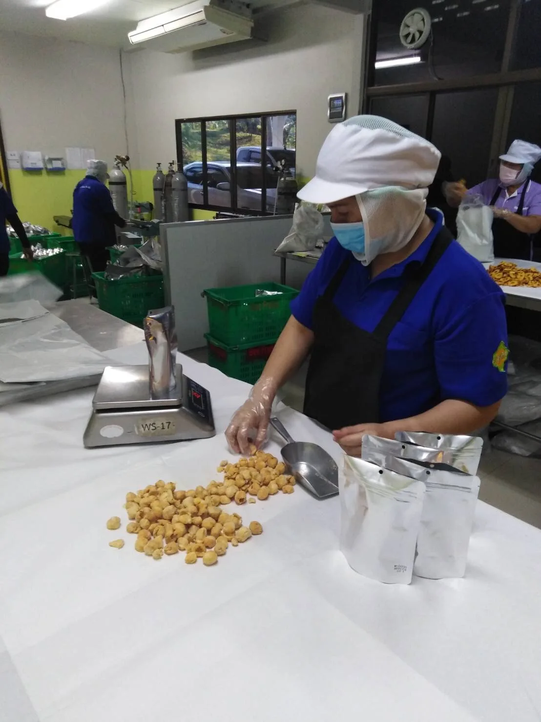 Longan Meat Dried longan  Kimzew Freeze Dried Good Quality Thailand