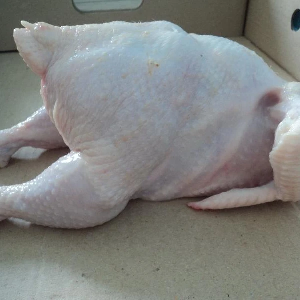 Frozen Chicken Feet / Whole Chicken / Chicken Mid Joint@@