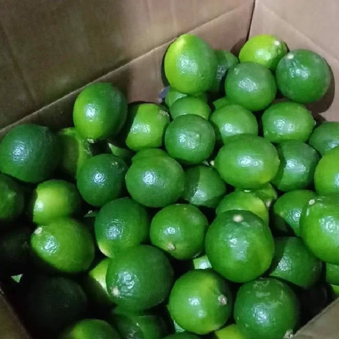 Зеленый лайм сделано во Вьетнаме свежий зеленый без косточек извести Вьетнам Лайм