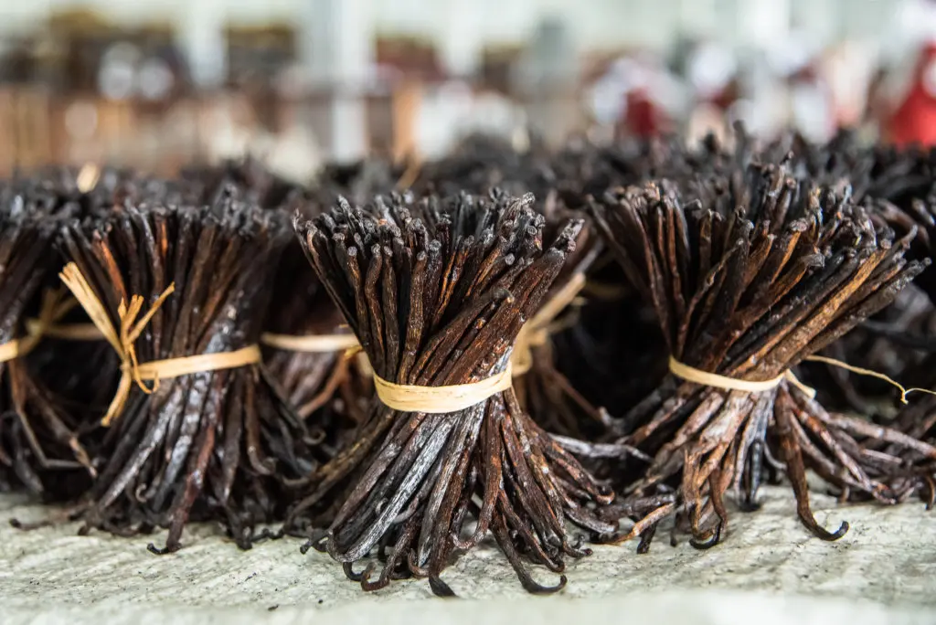 Premium  Vanilla Beans For Sale