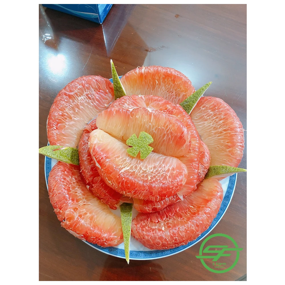 Grapefruit Best Quality Fresh Fruit Pomelo Fresh Fruit Grapefruit Vietnam Healthy Nutritious Fresh Sweet Freshly Picked Pomelo