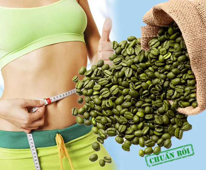 Weight loss green coffee been/ green coffee beans wholesale - Whatsapp: +84-845-639-639