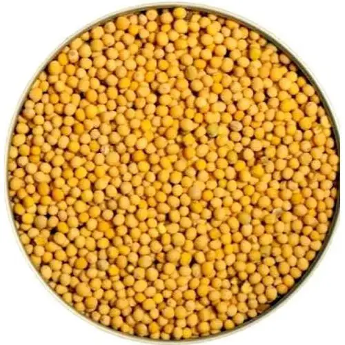 High Quality Good Price Of Dried Top Yellow And White Mustard Seeds Mustard Seed Wholesale Cheap Price From Bangladesh
