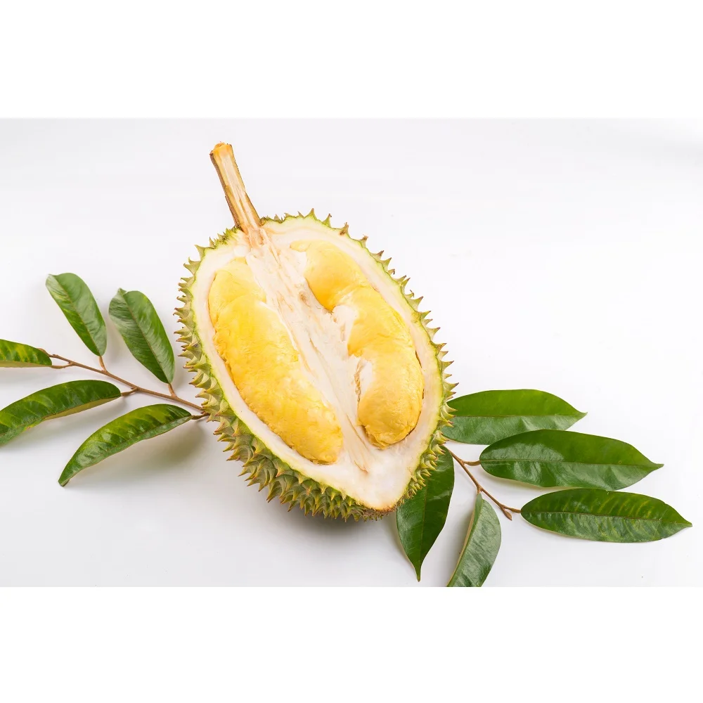 Top Quality Monthong Variety Carton Box Packaging Yellow Common Cultivation Type Sweet Taste Durian Export From Vietnam