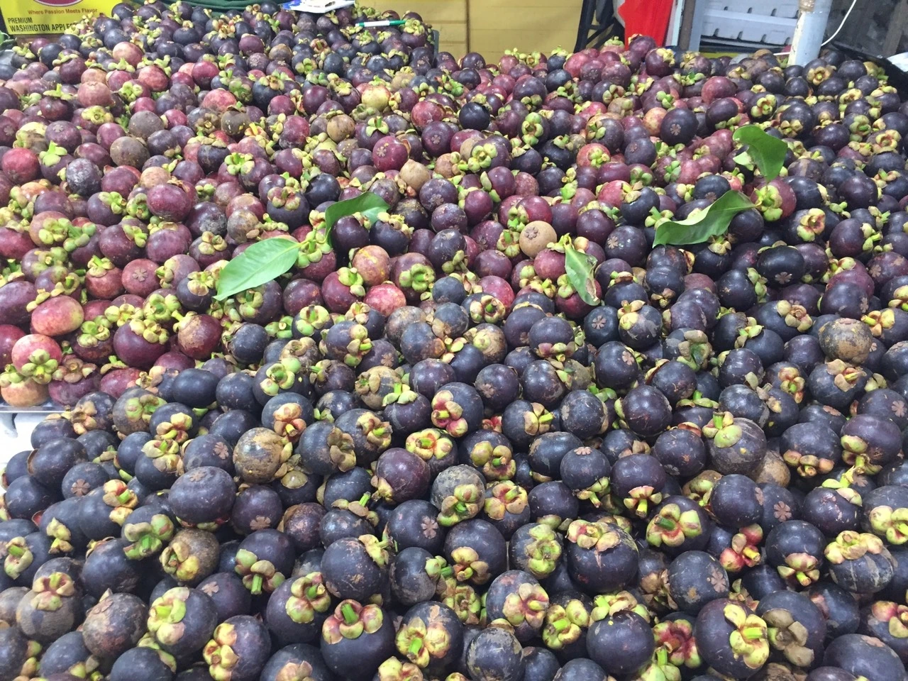 Mangosteen - Tropical Fruit Fresh And Sweet No Preservative Special Taste Natural Steamed Fresh Mangosteen