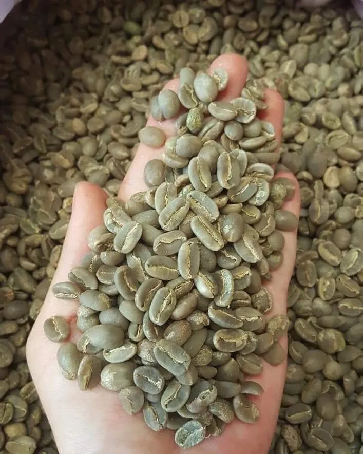 Недорогие жареные сломанные КОФЕ Robusta Премиум-качества/зеленые кофейные зерна Arabica