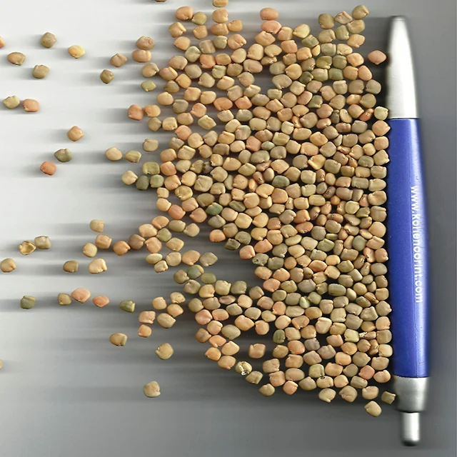 Kohenoor Guar Seeds / Guar Beans