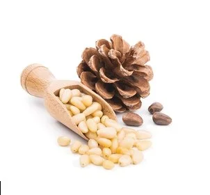Wholesale Best Quality Pine Nuts For Sale In Cheap Price