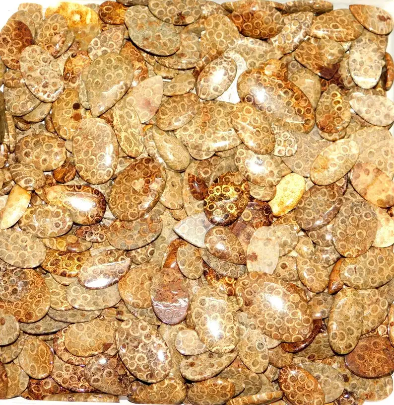 Yellow Fossil Coral Stone Natural Fossil Coral Cabochon Fossil Coral Gemstone Wholesale Fossil Coral Loose Gemstone For Jewelry