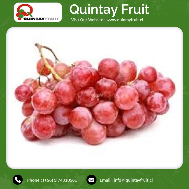 Top Selling Best Table Grapes New Crop High Quality Fresh Sweet Red Seeds Globe Grapes