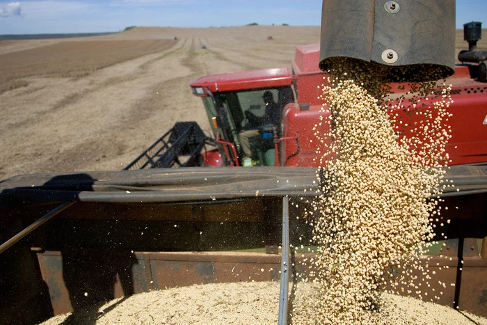 soybean-harvest.jpg