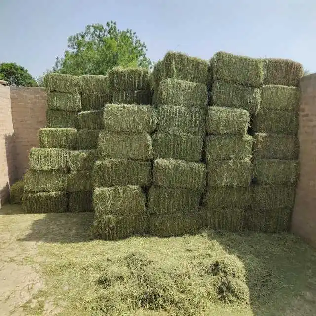 
Alfalfa Hay 