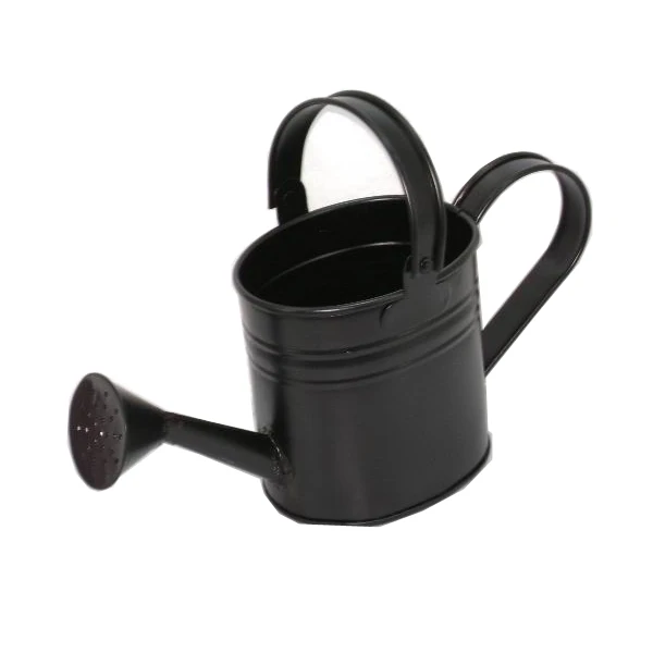Metal Watering Can For Garden Plants