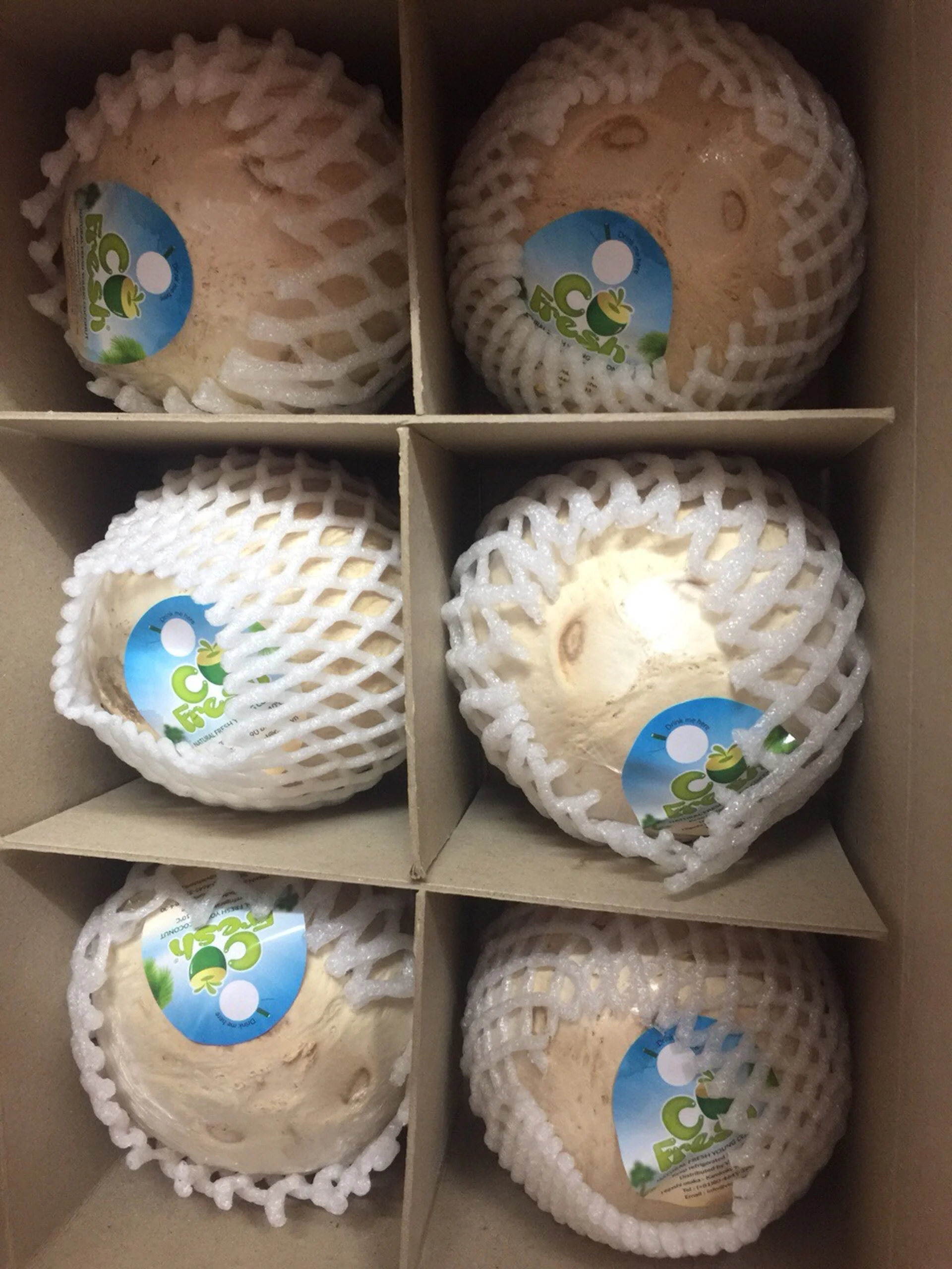 Sweet Coconut Premium Fresh Coconut with High Quality for Wholesale Top Cover / Diamond cut / Round Shape Vietnam Coconut