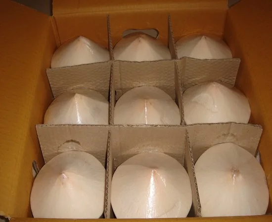 
FRESH YOUNG COCONUT DIAMOND SHAPE HIGH QUALITY BEST PRICE FROM VIKAFOODS (WhatsApp/Wechat: + 84 983 028 718) 