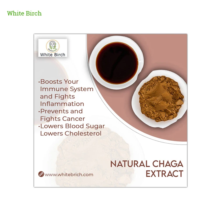 100 Pure Natural Organic Multiple Health Benefits Herbal Chaga Mushrooms Extract Powder