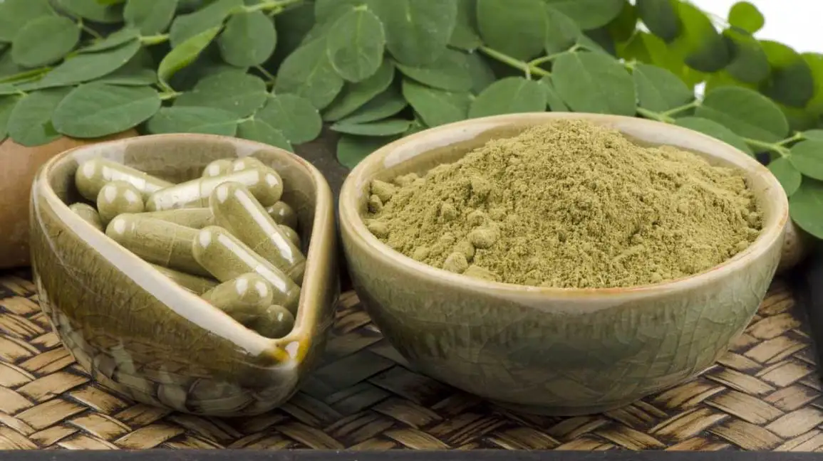 100% Organic Natural Quality Moringa Leaf Extract Powder/ Moringa Oleifera Seeds