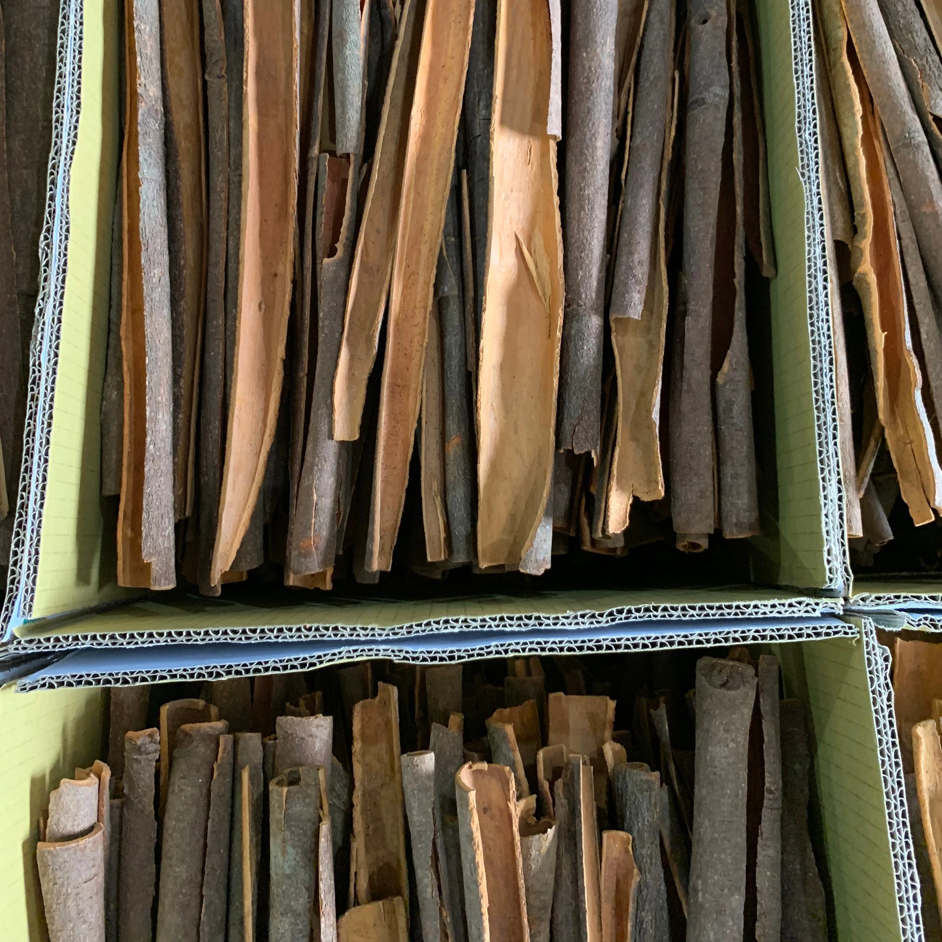 [2021 CROP] VIETNAM SPLIT CASSIA 2022 CROP