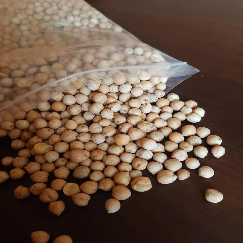 Оптовая продажа натуральный органический нут kabuli desi Лучшая цена от казахского производителя