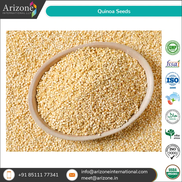 Огромный спрос на самые продаваемые семена Quinoa премиум-класса по низкой рыночной