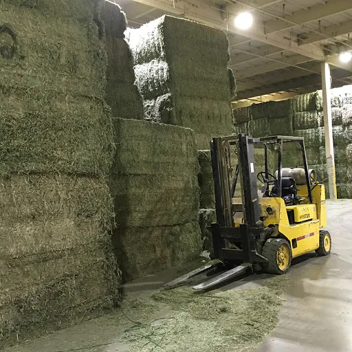 Buy Organic Alfalfa Grass Hay in netherlands/ Alfalfa Hay Pellets For Animal Feed For Sale Bulk