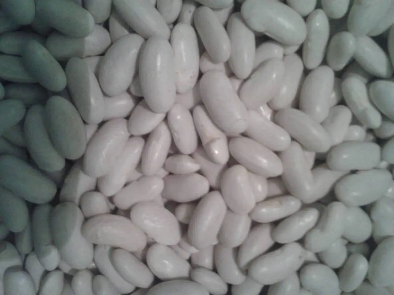 High quality Egyptian White Kidney Beans Wholesale