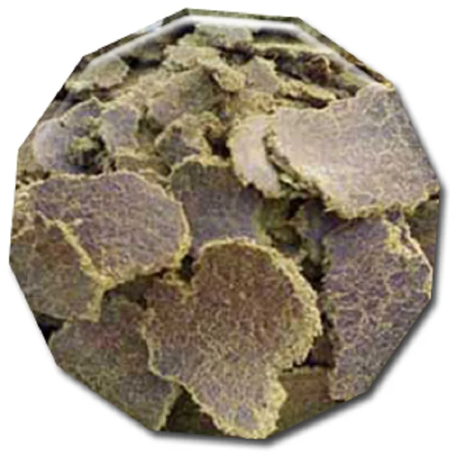 High Quality Cottonseed Oil Cake / Cotton seed Meal for animal feed