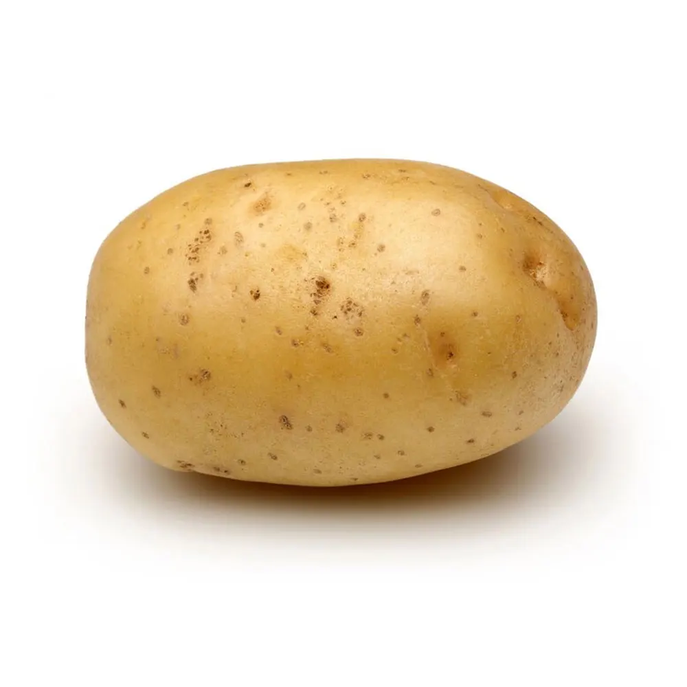 Best Sale High Quality Competitive Price Potato For Pakistan | 2022 New Crop Fresh Potato  For Cooking