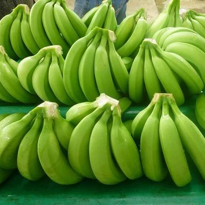 
QUALITY FRESH CAVENDISH BANANA 