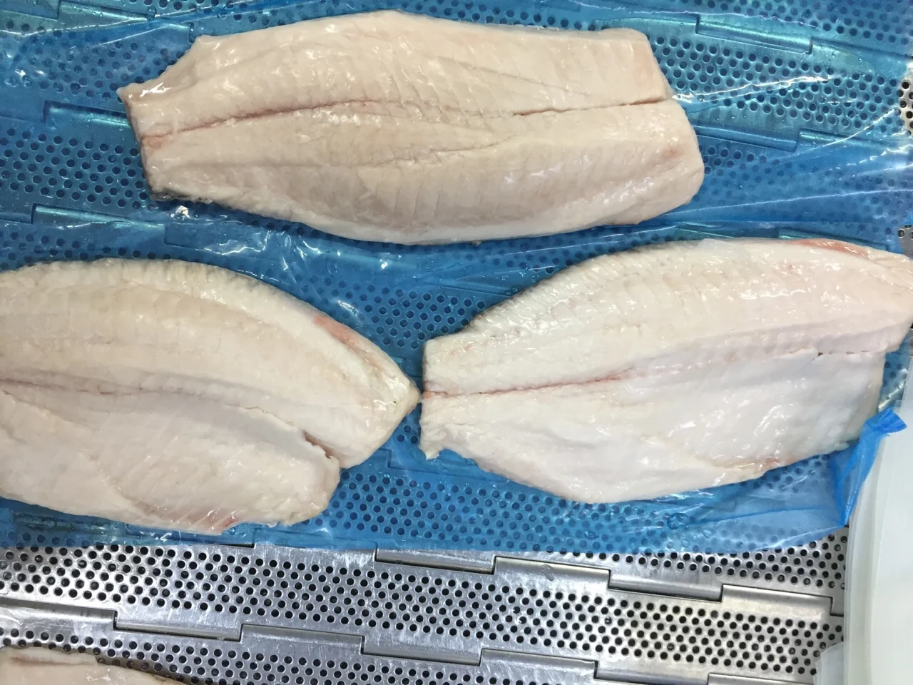 IQF Freezing Bag Tilapia fish Frozen tilapia fish Packaging 1Kilogram Weight per Bag Meat Part Tilapia