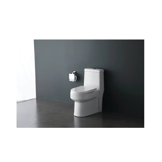 Porcelain Toilet India