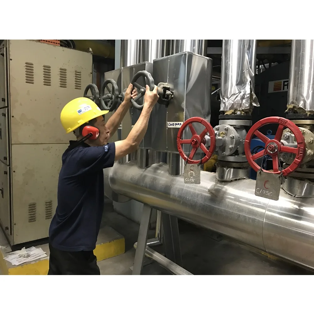 
High Quality 1 Year Guarantee Express Boiler Operator Singapore Machinery Service 