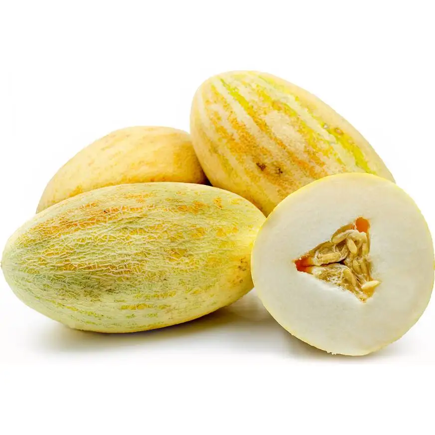 Great quality sweet juicy melons Torpeda melon from Uzbekistan manufacturer wholesale price for sale