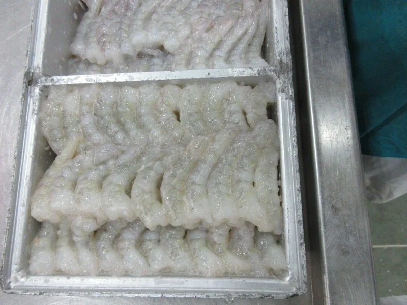 Frozen Vannamei Pulled Veined (Pvpd) Shrimps at Cheap factory Price size 51/60