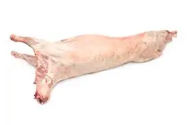 HALAL FRESH FROZEN GOAT/ MUTTON MEAT/ LAMB MEAT CARCASS