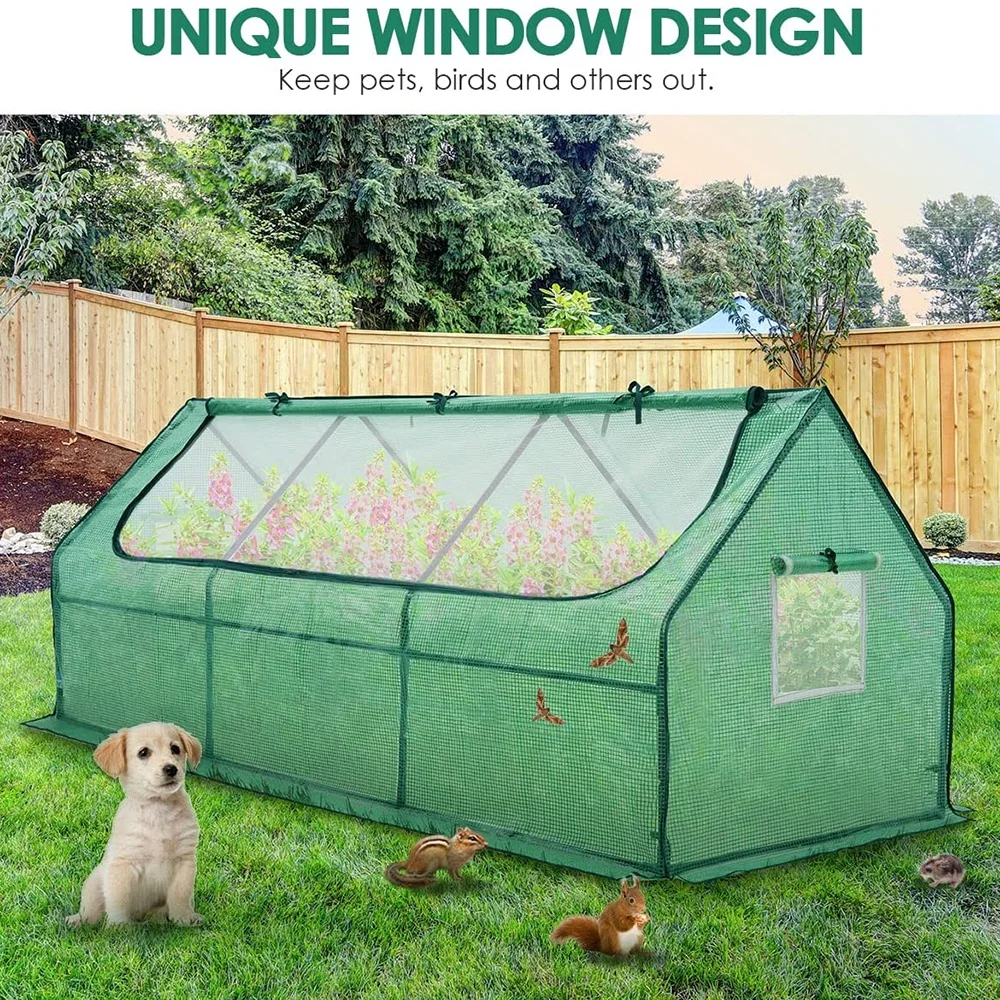 VERTAK PE sheet and steel powder coated frame high greenhouse with 2 windows