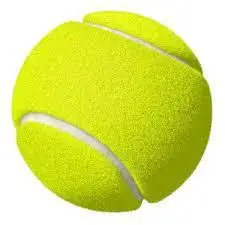 Cheap Price Tennis Ball With Packaging Wholesale Tennis Ball