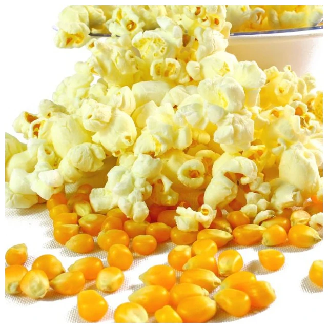 
100% Premium Quality Yellow Color Mushroom Popcorn Kernels 