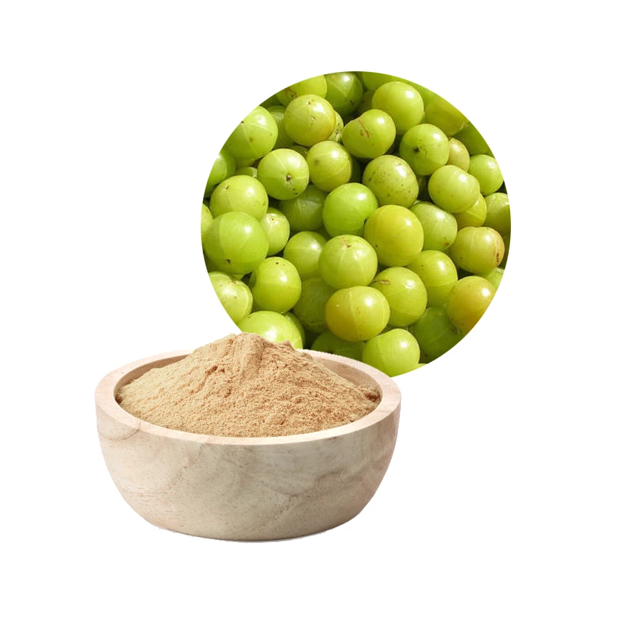 Organic Amla Fruit Powder (100% Natural)