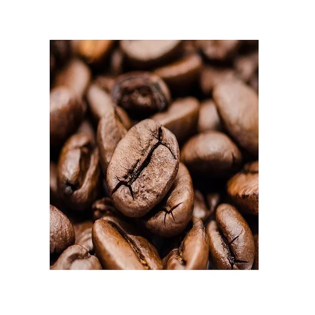  Популярные кофейные зерна robusta во Вьетнаме-оптовая продажа кофейных зерен экспортируется в США ЕС Корею ОАЭ-вьетнамский зеленый