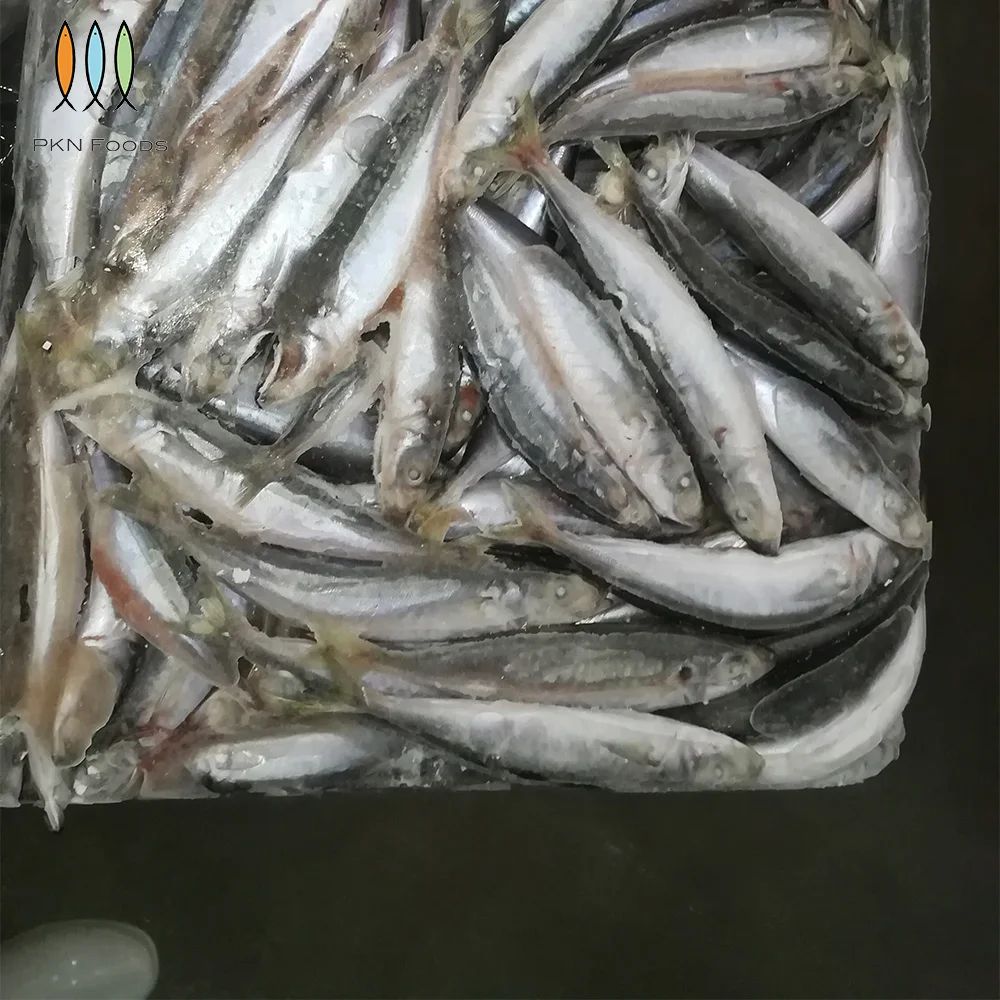 Seasonal Nature Whole Part IQF BLOCK Frozen Fresh Decapterus Macrosoma Layang Scad with 2 Years Shelf Life