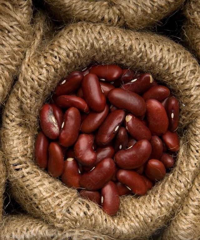 Dry Pinto Beans Or Light Speckled Kidney Beans Long Shape Or Round Ship Red Kidney Kenya Beans+/-+