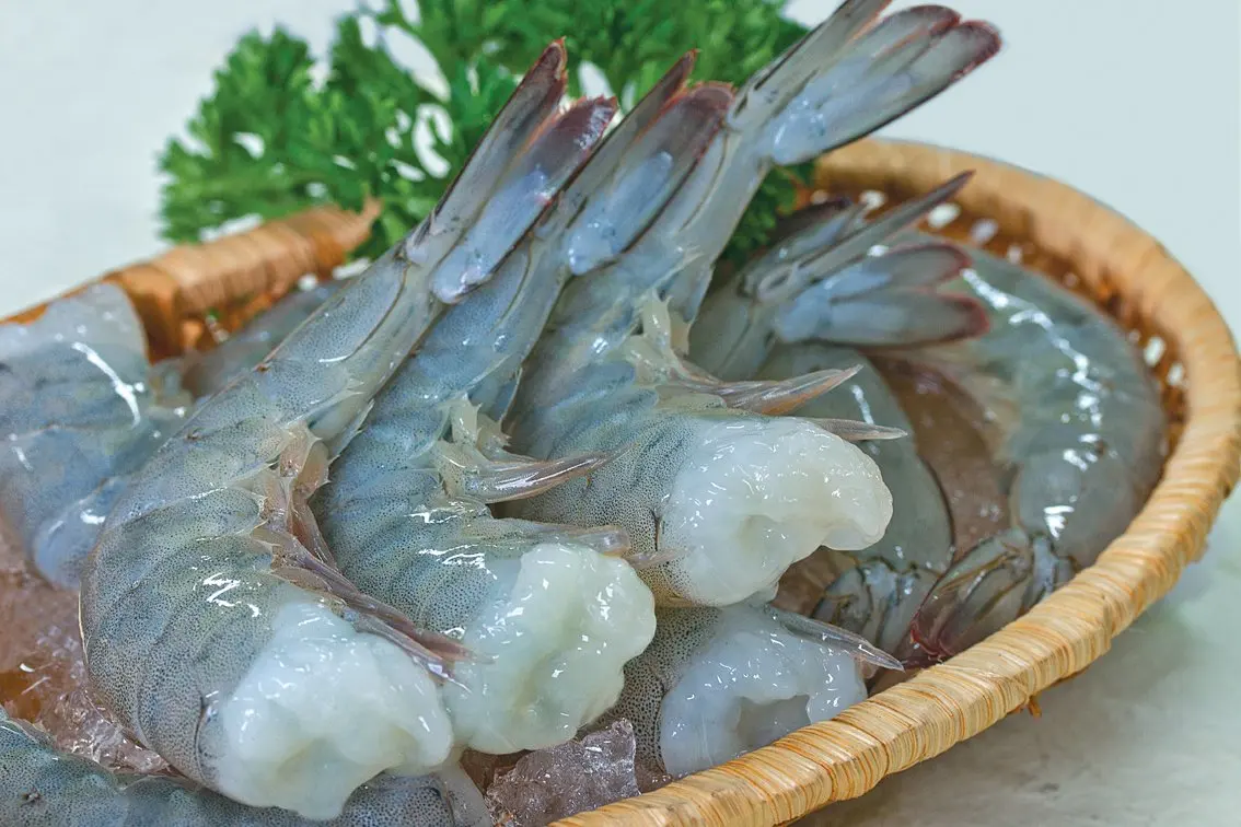 Raw frozen PTO / PDTO shrimp Bulk white leg shrimp