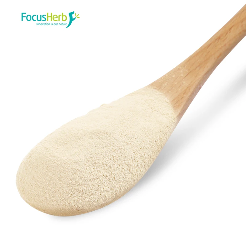 
Focusherb Soybean Protein White to Light Yellow Powder Food Additive Soy Protein>90% Isolated Soy Protein 