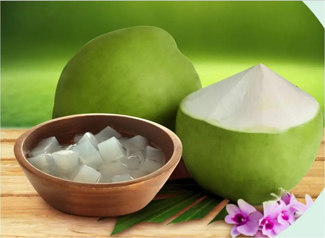 NATA De Coco-кокосовые водоросли вьетнамские без запаха Nata de Coco экспорт Корея Таиланд Япония ../ + Плющ 84977157110