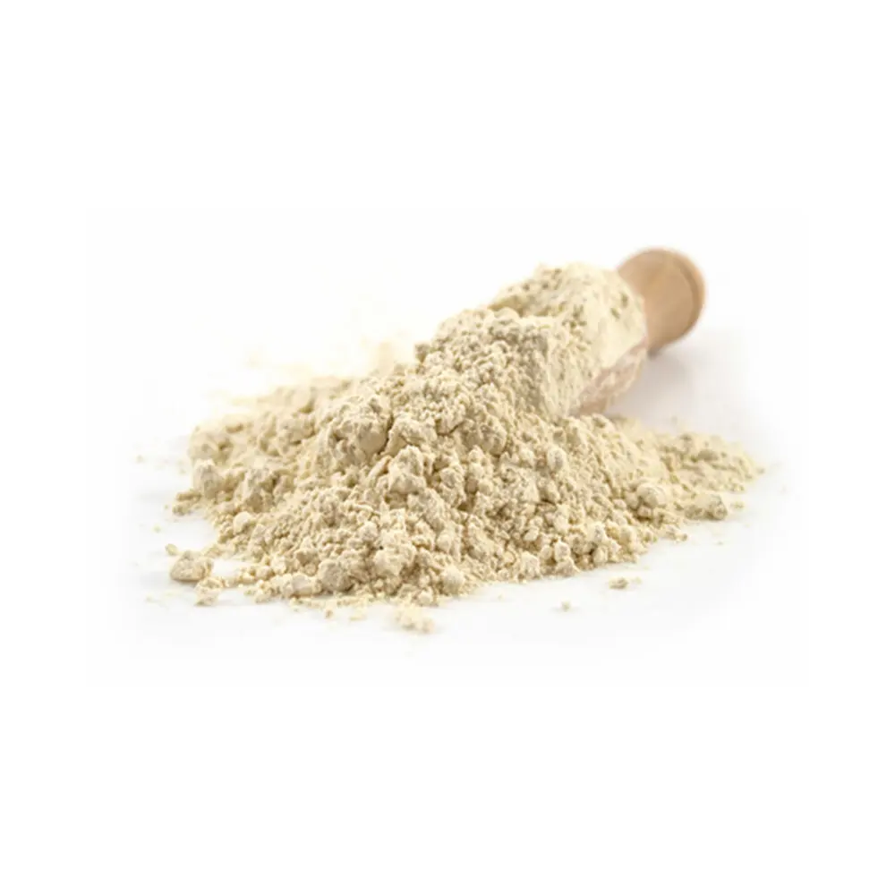 High protein wheat flour alternative to wheat gluten