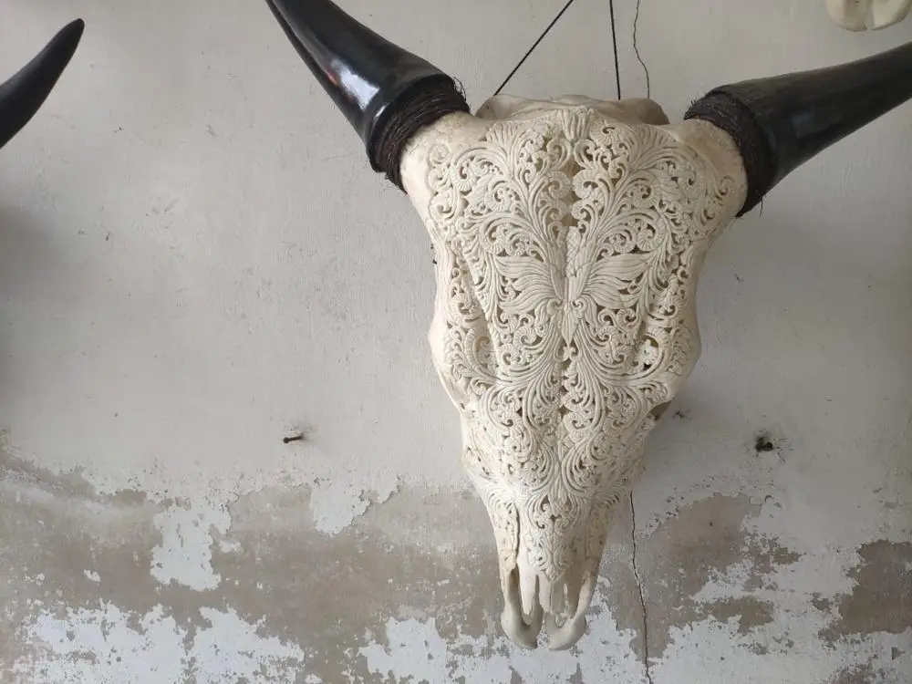 real animal skull cow head hand carved 100% in stock mixed design