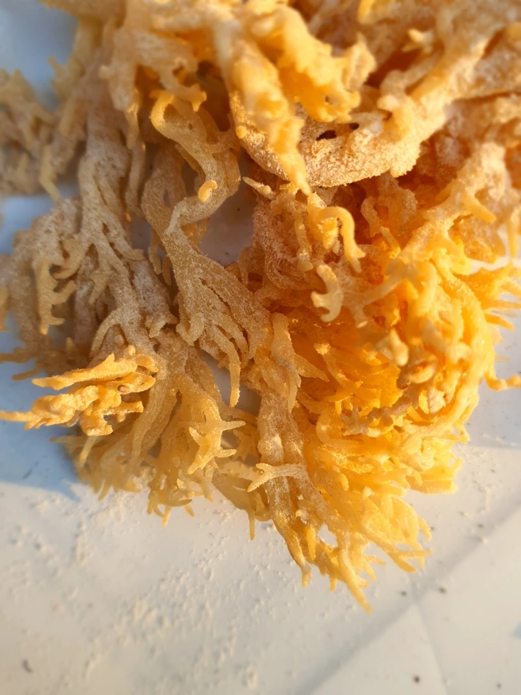 Wholesale dried irish moss sea moss highest nutrient from wild island in Vietnam - SEA MOSS GUMMIES